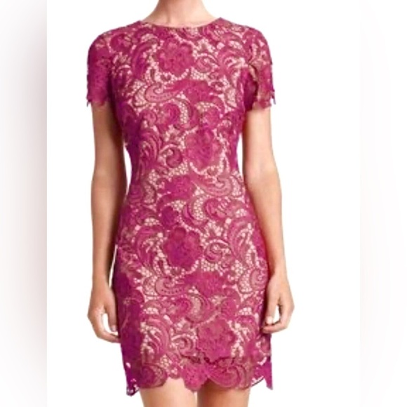 Dress the Population Dresses & Skirts - Dress The Population Anna mulberry & nude lace dress size S Cocktail Evening
